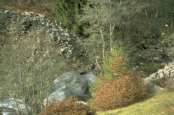Resti della Serra di flottazione